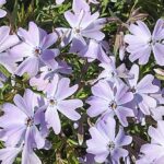 Погода в Україні 4