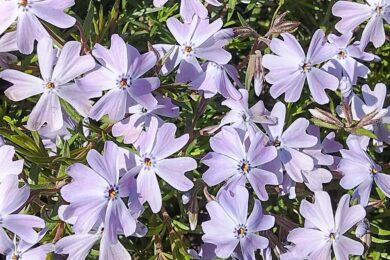 Попередили про небезпечні метеорологічні явища: якою буде погода в Україні 28 квітня