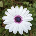 28 квітня  – яке сьогодні свято, прикмети і традиції, пам’ятні дати, іменини