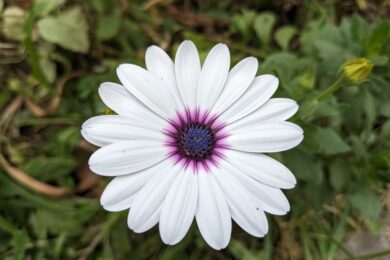 28 квітня  – яке сьогодні свято, прикмети і традиції, пам’ятні дати, іменини