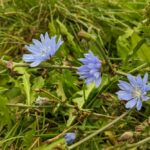 22 квітня  – яке сьогодні свято, прикмети і традиції, пам’ятні дати, іменини