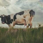 16 квітня  – яке сьогодні свято, прикмети і традиції, пам’ятні дати, іменини