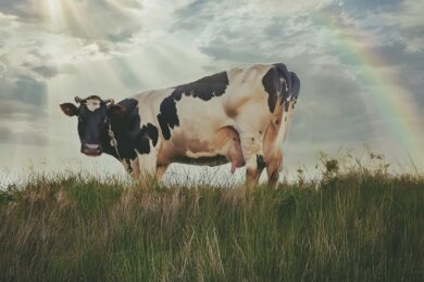 16 квітня – яке сьогодні свято, прикмети і традиції, пам’ятні дати, іменини