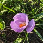 11 квітня  – яке сьогодні свято, прикмети і традиції, пам’ятні дати, іменини