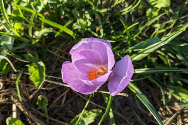 11 квітня  – яке сьогодні свято, прикмети і традиції, пам’ятні дати, іменини