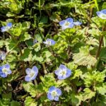 3 квітня  – яке сьогодні свято, прикмети і традиції, пам’ятні дати, іменини