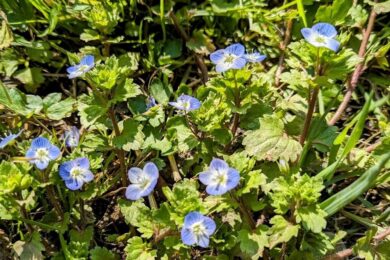 3 квітня  – яке сьогодні свято, прикмети і традиції, пам’ятні дати, іменини