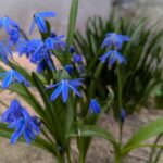 29 квітня  – яке сьогодні свято, прикмети і традиції, пам’ятні дати, іменини