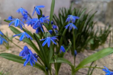 29 квітня  – яке сьогодні свято, прикмети і традиції, пам’ятні дати, іменини