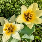 2 квітня  – яке сьогодні свято, прикмети і традиції, пам’ятні дати, іменини