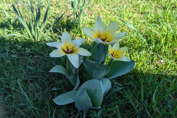 8 квітня  – яке сьогодні свято, прикмети і традиції, пам’ятні дати, іменини