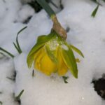 7 квітня  – яке сьогодні свято, прикмети і традиції, пам’ятні дати, іменини