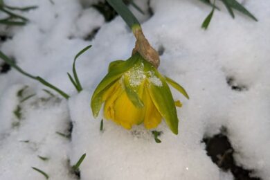 7 квітня  – яке сьогодні свято, прикмети і традиції, пам’ятні дати, іменини