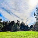 14 квітня – яке сьогодні свято, прикмети і традиції, пам’ятні дати, іменини