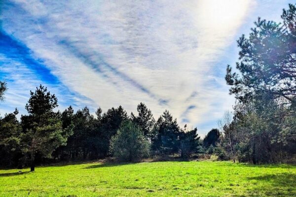 14 квітня – яке сьогодні свято, прикмети і традиції, пам’ятні дати, іменини