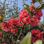 20 квітня  – яке сьогодні свято, прикмети і традиції, пам’ятні дати, іменини