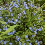 26 квітня  – яке сьогодні свято, прикмети і традиції, пам’ятні дати, іменини