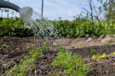 1 травня  – яке сьогодні свято, прикмети і традиції, пам’ятні дати, іменини