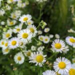 4 квітня  – яке сьогодні свято, прикмети і традиції, пам’ятні дати, іменини