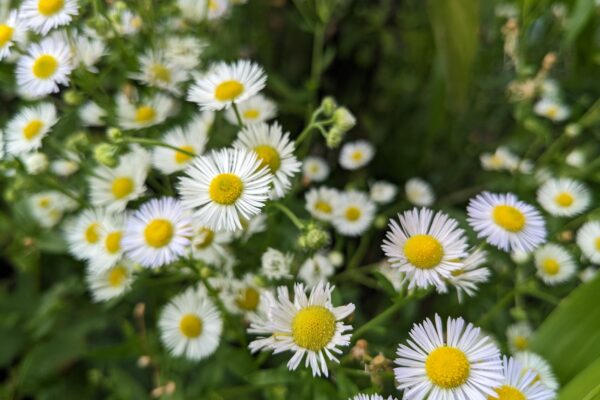 4 квітня  – яке сьогодні свято, прикмети і традиції, пам’ятні дати, іменини