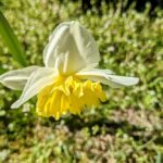 6 квітня  – яке сьогодні свято, прикмети і традиції, пам’ятні дати, іменини