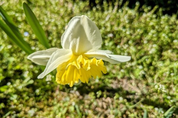 6 квітня  – яке сьогодні свято, прикмети і традиції, пам’ятні дати, іменини