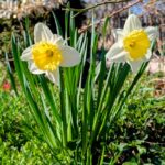 25 квітня  – яке сьогодні свято, прикмети і традиції, пам’ятні дати, іменини