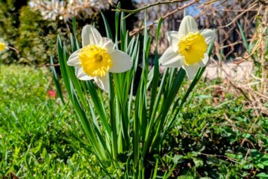 9 квітня  – яке сьогодні свято, прикмети і традиції, пам’ятні дати, іменини