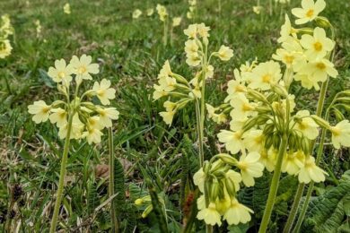23 квітня  – яке сьогодні свято, прикмети і традиції, пам’ятні дати, іменини