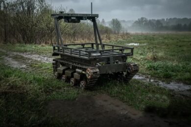 Може перевозити до 300 кг