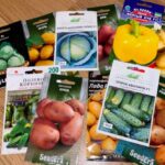 Безкоштовні набори насіння по всій Україні – відкрито реєстрацію