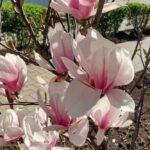 Невеликий дощ і мокрий сніг