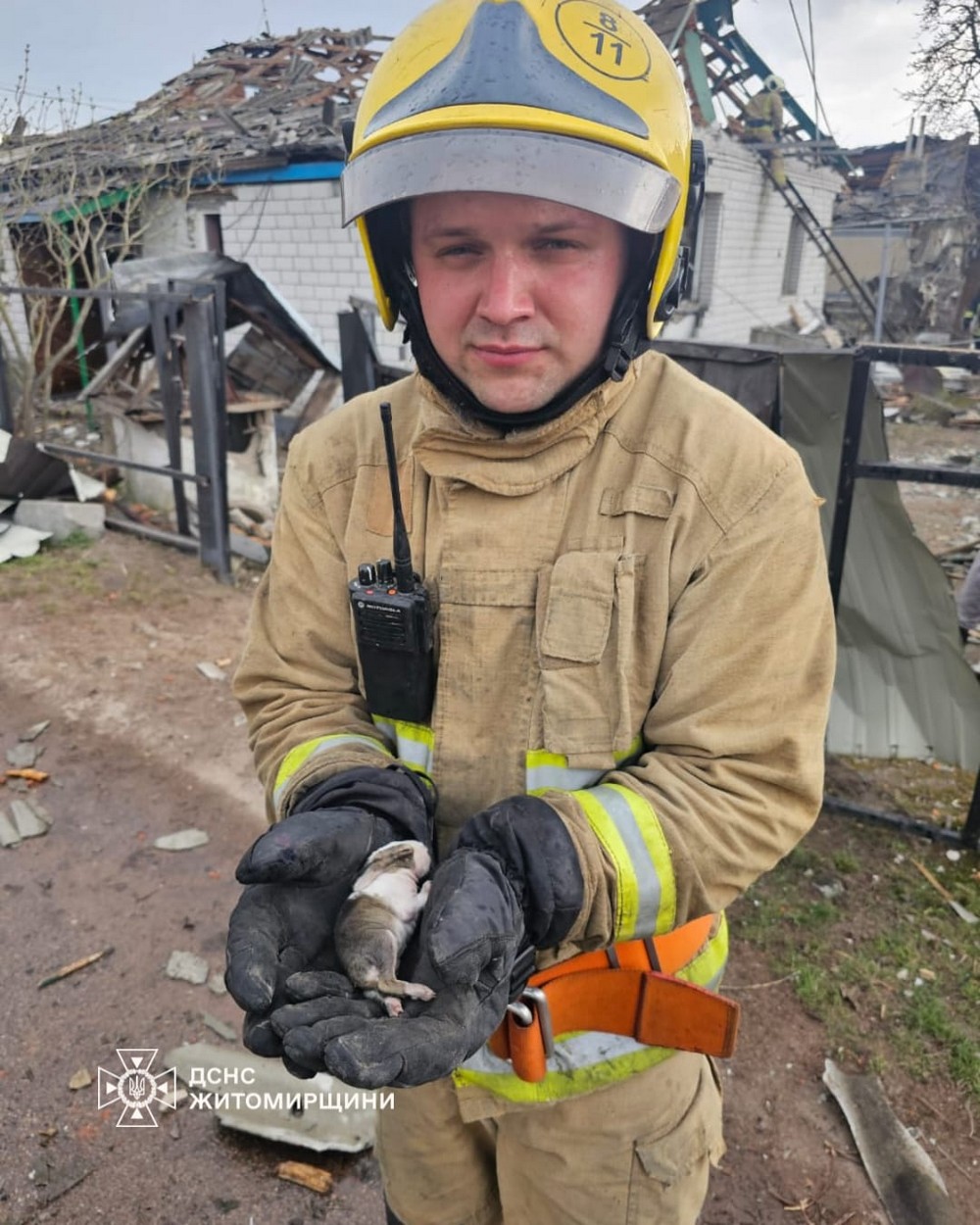 Житомирщина 4