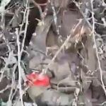 Війна в Україні 15 квітня: