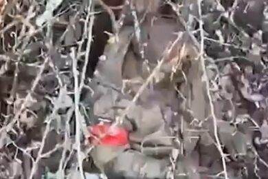 Війна в Україні 15 квітня: