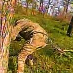 Окупант на Запоріжжі увімкнув біговий