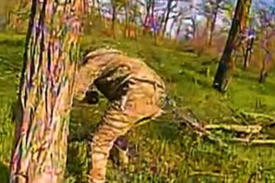 Окупант на Запоріжжі увімкнув біговий