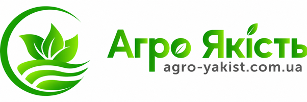 Зображення2