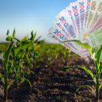 По 2 000 грн за гектар: грошова допомога на Дніпропетровщині – хто і як може отримати