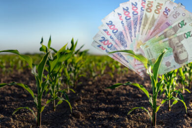 По 2 000 грн за гектар: грошова допомога на Дніпропетровщині – хто і як може отримати