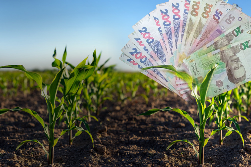 По 2 000 грн за гектар: грошова допомога на Дніпропетровщині – хто і як може отримати