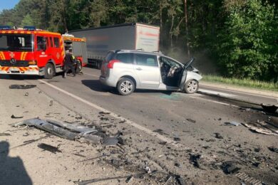 Загинули всі: моторошна ДТП на Львівщині – не розминулися Chery Tiggo і Peugeot 5008 (фото)