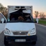 Є вбиті і багато поранених, удари по СТО, хлібовозці, багатоповерхівці: нічна повітряна атака 4 травня – все, що відомо (фото, відео)
