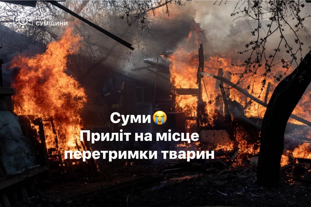 Приліт «Шахеда» на перетримку у Сумах: волонтерка кинулася у вогонь, аби врятувати своїх тварин (фото, відео)