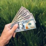 Допомога для фермерів на Миколаївщині: стартував прийом заявок на ваучери від 2 до 6 тисяч доларів