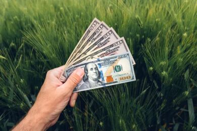 Допомога для фермерів на Миколаївщині: стартував прийом заявок на ваучери від 2 до 6 тисяч доларів