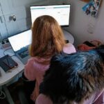 Робота з житлом: як знайти, де найчастіше пропонують, скільки платять