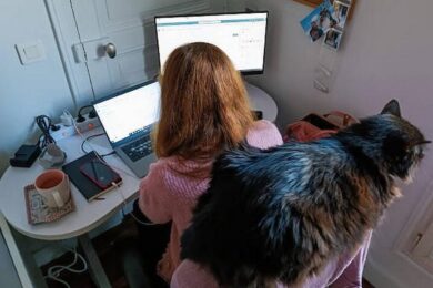 Робота з житлом: як знайти, де найчастіше пропонують, скільки платять
