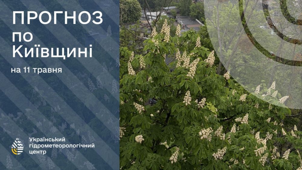 погода в Україні 11 травня 2