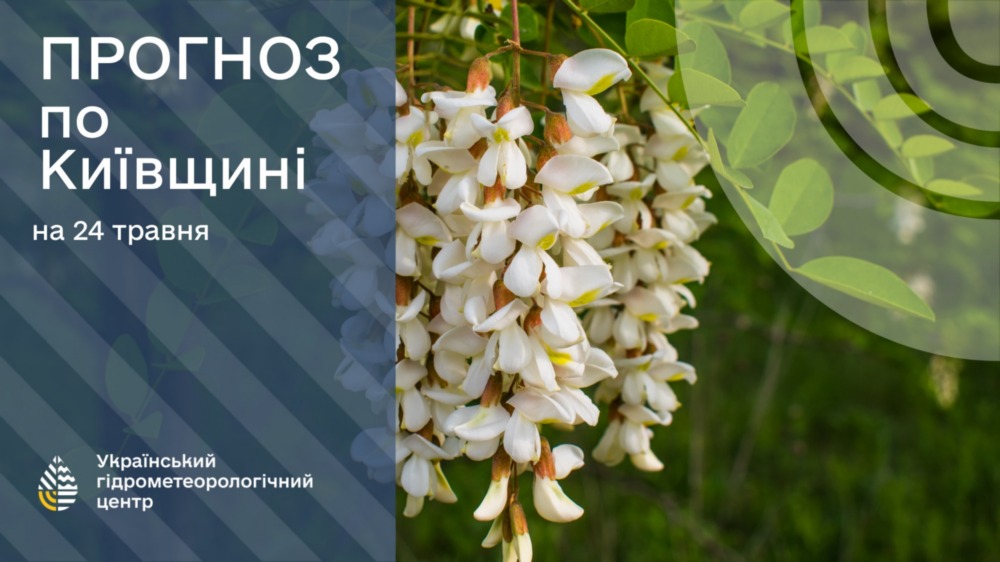 Погода в Україні Погода в Україні